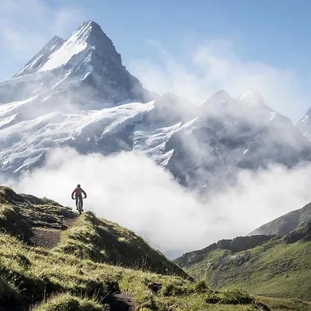 Victoria Lauberhorn Wengen, A Faern Collection
