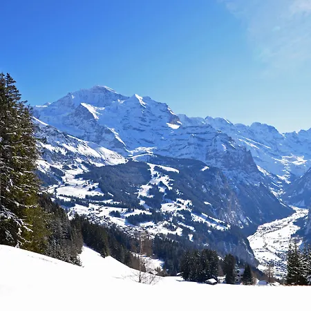 Ξενοδοχείο Victoria Lauberhorn Wengen, A Faern Collection 3*