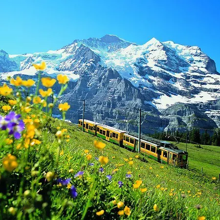 Victoria Lauberhorn Wengen, A Faern Collection Hotel