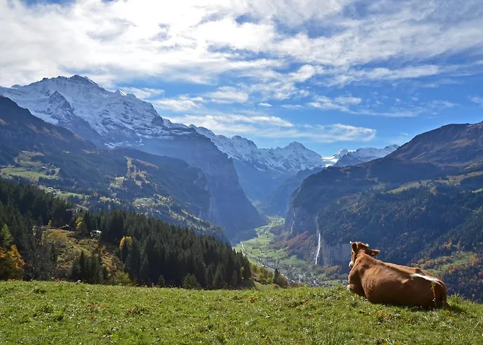 Victoria Lauberhorn Wengen, A Faern Collection Hotel