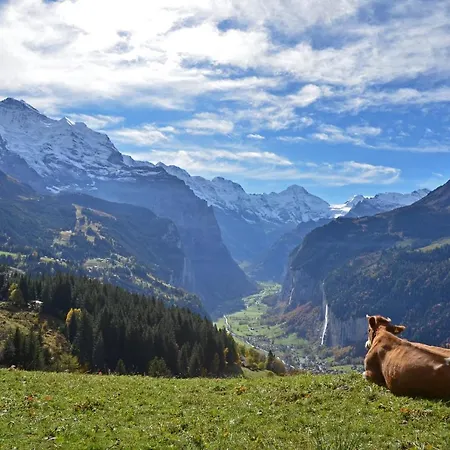 Victoria Lauberhorn Wengen, A Faern Collection Hotel